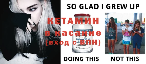 индика Горняк
