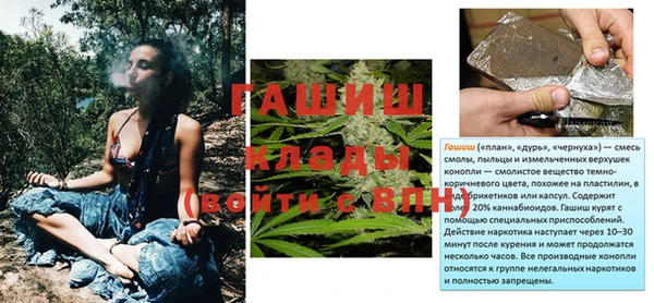 индика Горняк