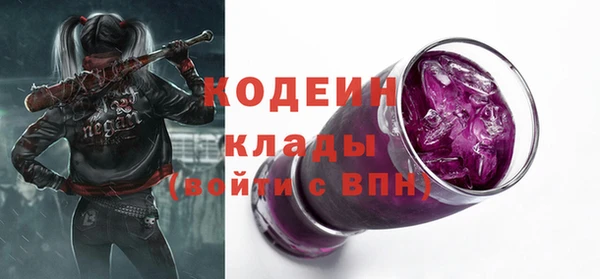 индика Горняк