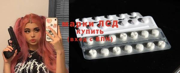 индика Горняк