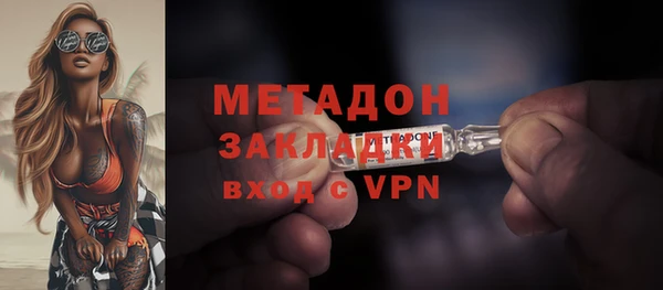 индика Горняк
