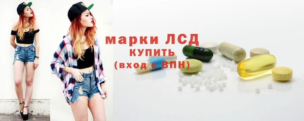 индика Горняк