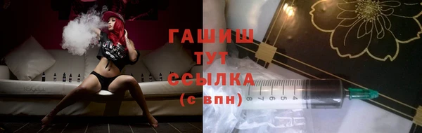 индика Горняк