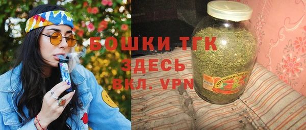 индика Горняк