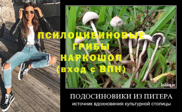 индика Горняк