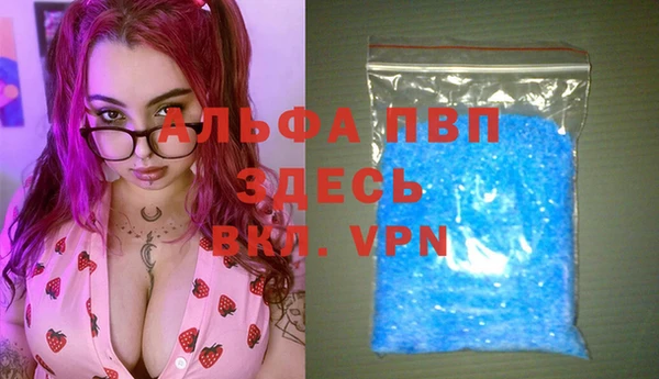 индика Горняк