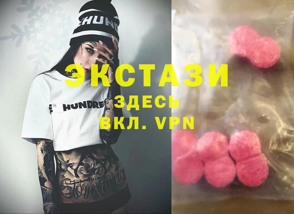 индика Горняк