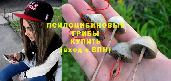 индика Горняк