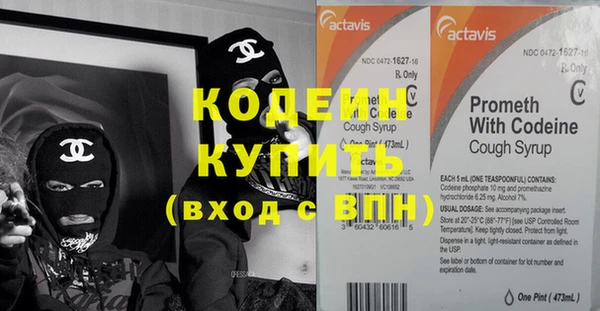индика Горняк