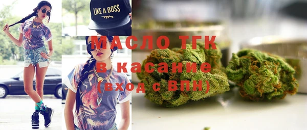 индика Горняк